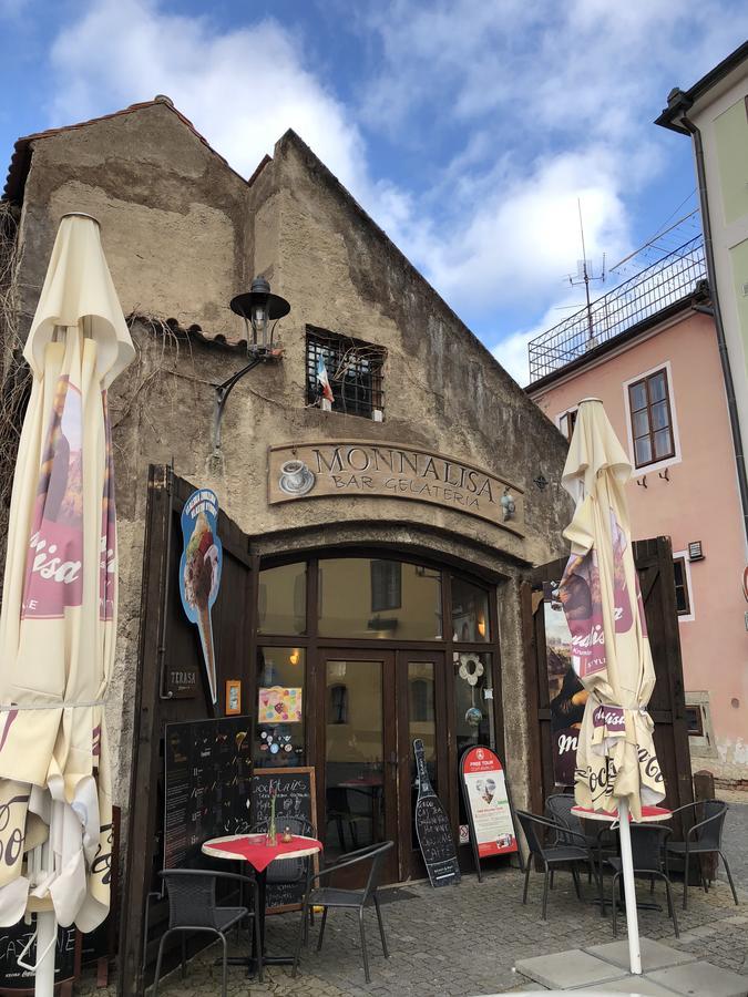 Villa Davinci Český Krumlov Esterno foto